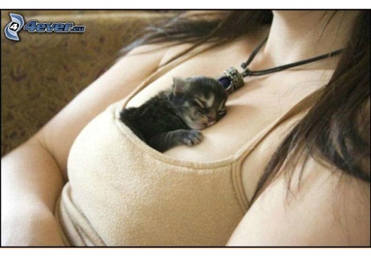 Sleeping In-Pics Of Pets Being Cozy With Female Breasts