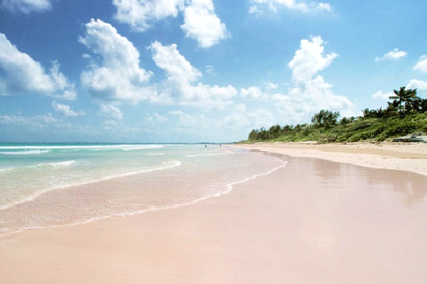 Pink Sands Beach- Harbour Island, Bahamas-Unique Beaches
