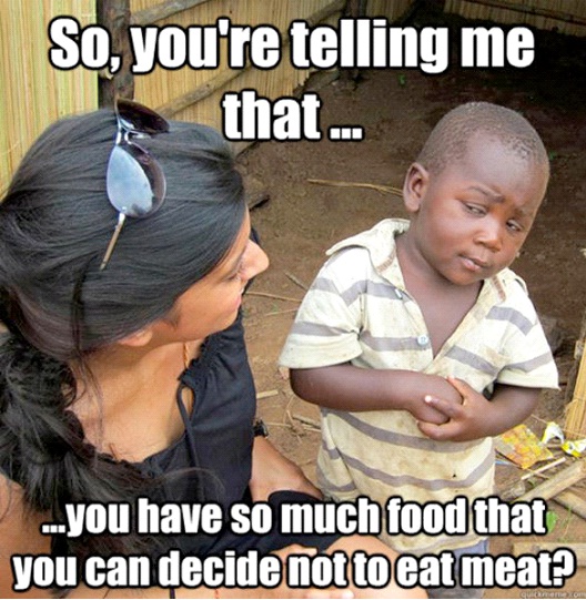On Vegetarians-12 Best Skeptical Third World Kid Memes Ever 