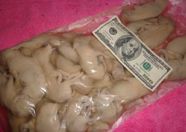 A Bag of Slimy Pigs-Most Disgusting Things Sold On Etsy