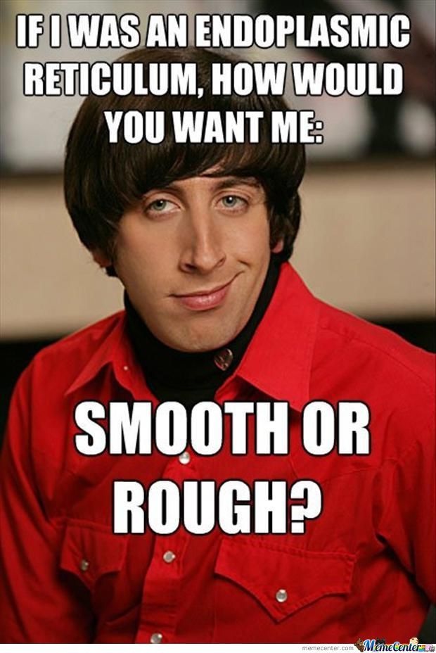 What a question-12 Nerdy Pickup Lines From Howard Wolowitz Memes