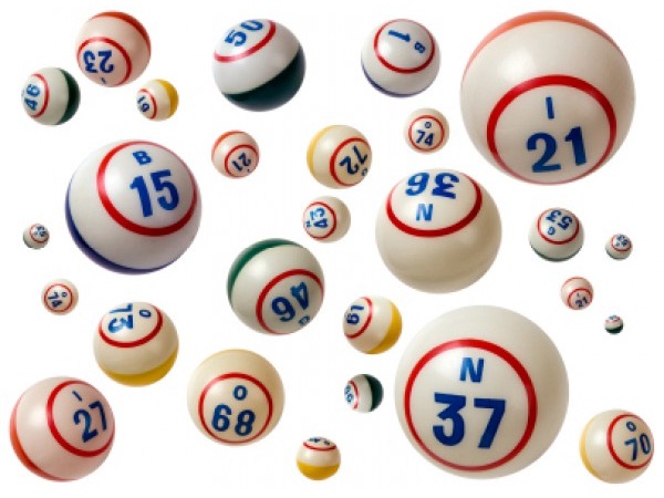 Bingo-Insane Fact About Gambling
