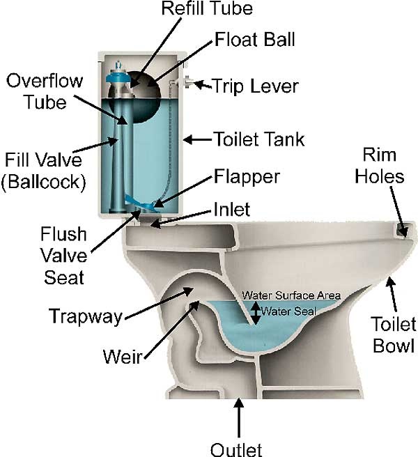 Unblocking a toilet-Basic Life Skills You Should Know
