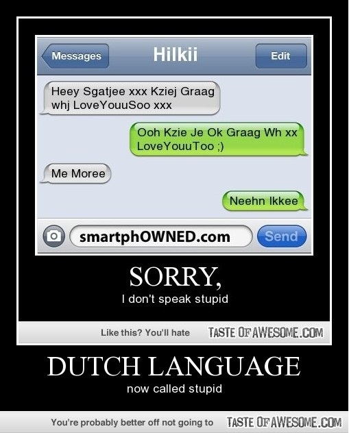 Dutch-The Easiest Languages You Can Learn