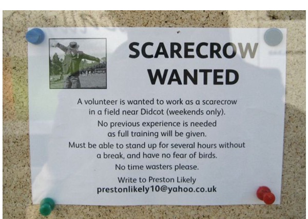 Scarecrow Job Ad-Hilarious Job Ads