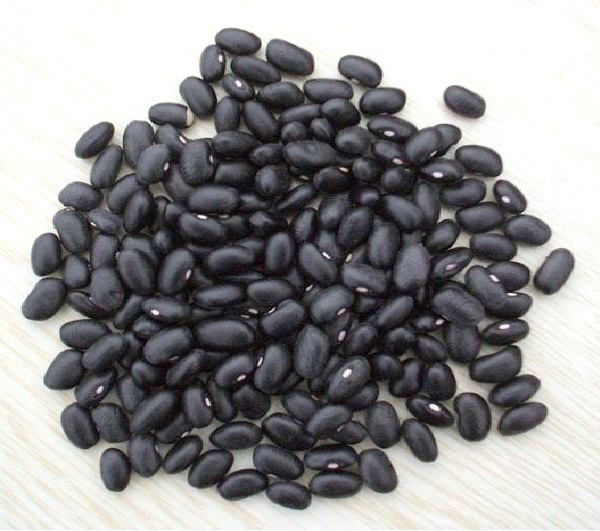 Black Beans-Best Muscle Building Food