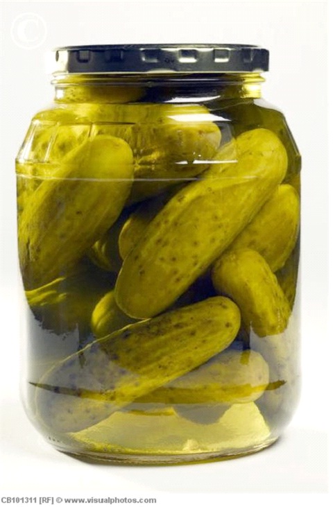 Dill Pickles-Most Loved Burger Toppings