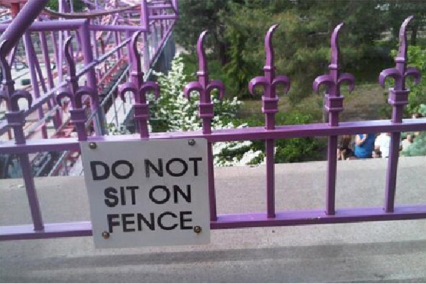 Prickly Situations-Hilarious Fence Fails