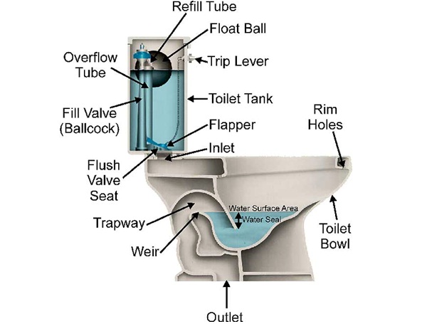 Toilet Water Pressure-Things You Didn't Know About Toilets