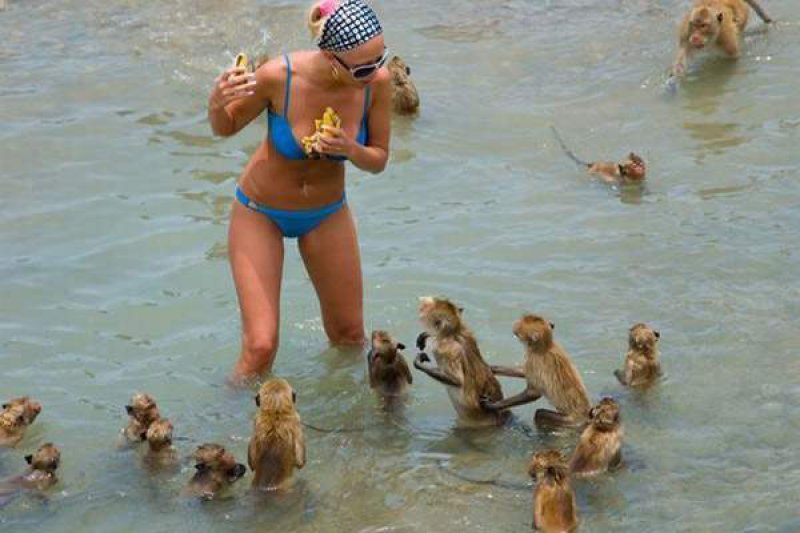 Sneak Attack-18 Hilarious Beach Fails That Will Make You Laugh Out Loud Sneak Attack-18 Hilarious Beach Fails That Will Make You Laugh Out Loud