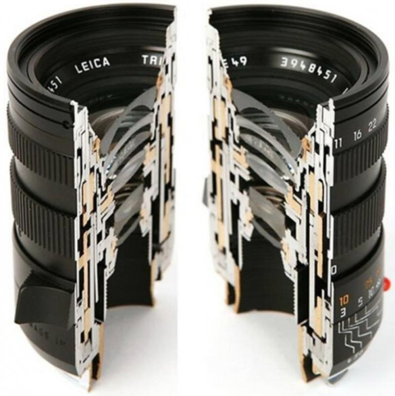 Camera Lens-12 Amazing Pictures Of Things Cut In Half