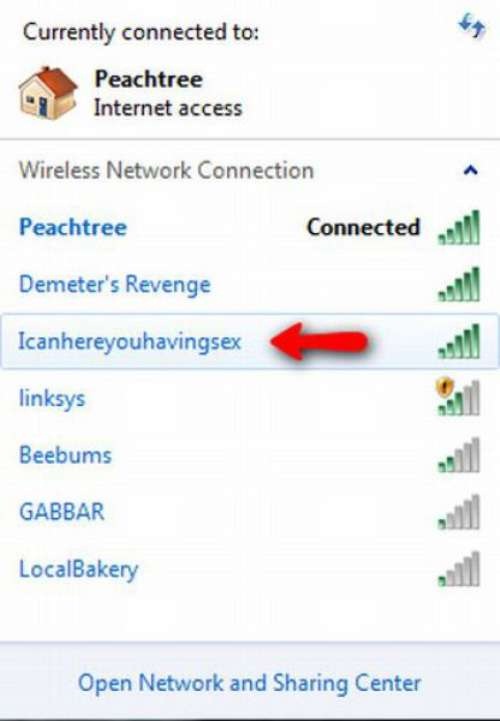 It must be thin walls-Funny Wifi Names