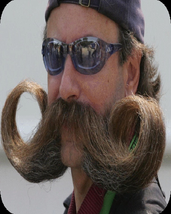 Biker curl-Weird Moustaches