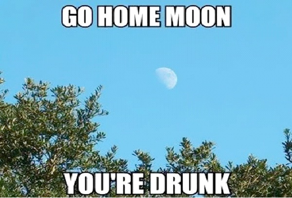 Half Moon-Best Go Home, You're Drunk Memes