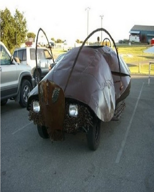 The beetle-Top 15 Weirdest Cars