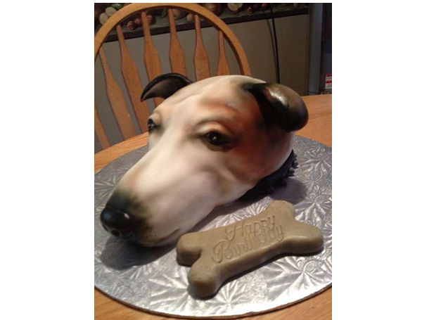Dog Head Cake-Most Amazing Dog-Shaped Cakes