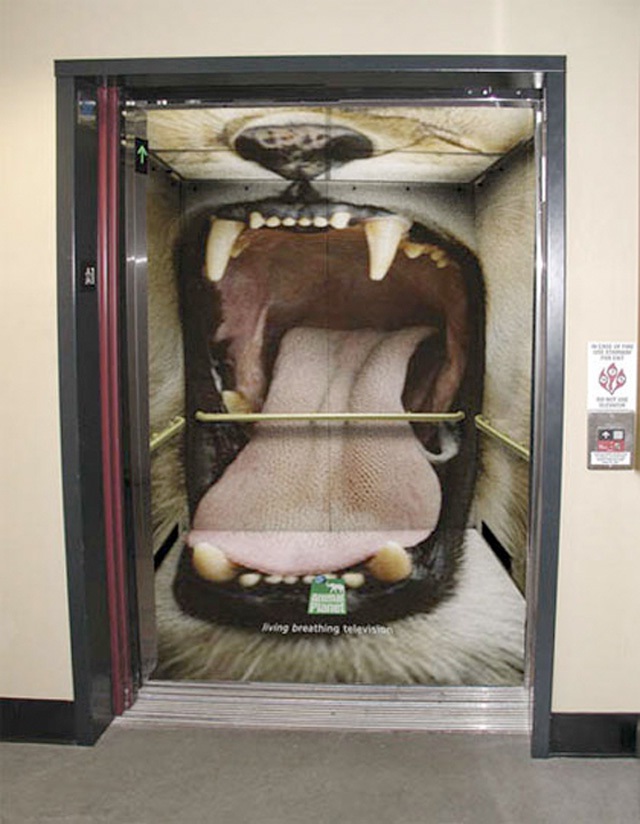 Enter the lion-Creative Elevator Ads
