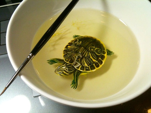 Turtle-Bizarre 3D Paintings By Keng Lye
