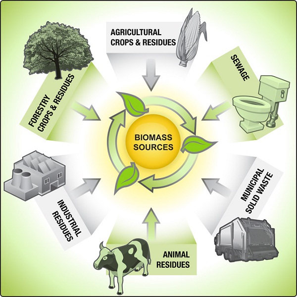 Biomass-Renewable Energy Sources