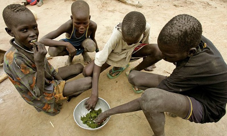 Food Wastage and poverty-15 Images That Prove Life's Not Fair With Everyone