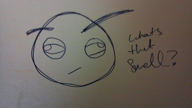 What's that Smell?-15 Hilarious Toilet Graffiti Images Ever