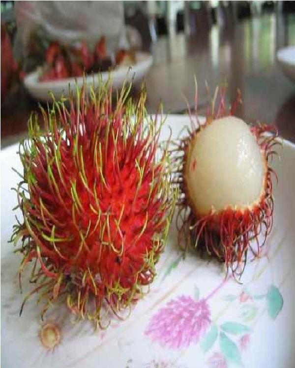 Rambutan-Weirdest Fruits