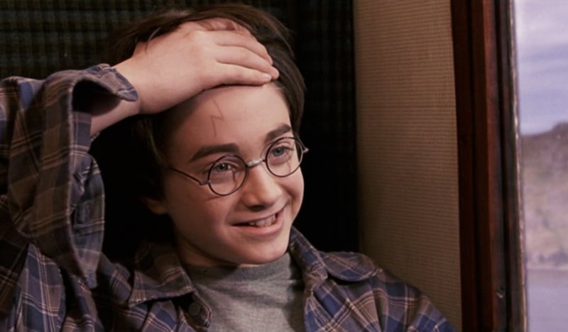 Lice Outbreak-15 Things You Probably Don't Know About Harry Potter Movies