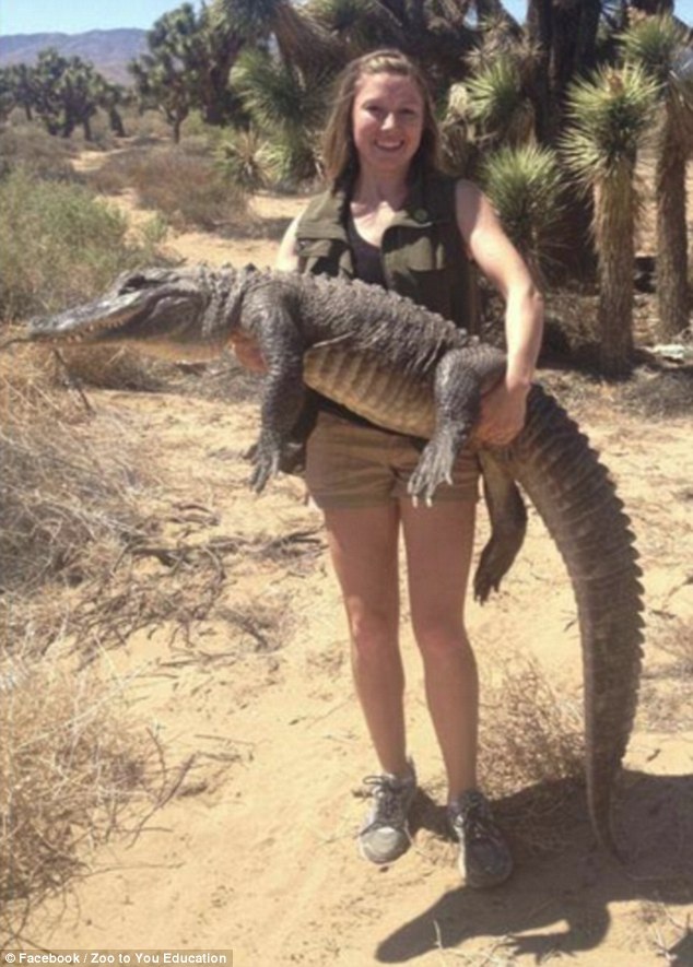 Cuddling alligators?-Meet Chuck Norris's Wife And Kids