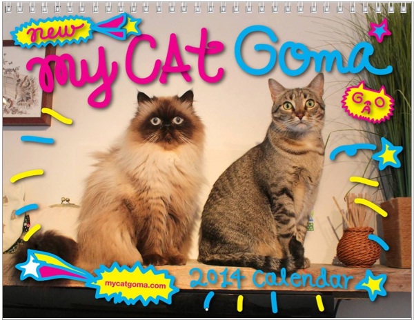 Mad Cats-Craziest Calendars For 2014