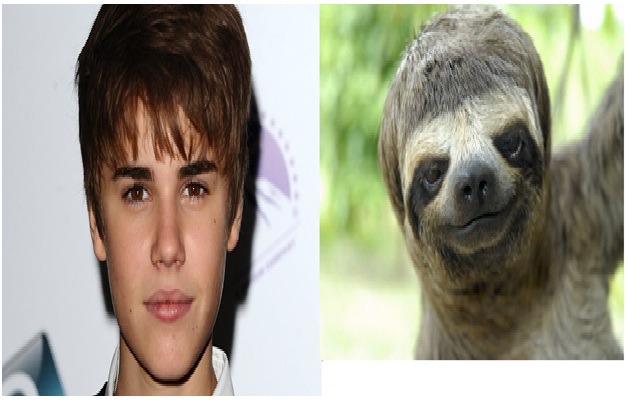 Justin Bieber - Sloth-15 Celebrities Who Look Like Real Life Animals