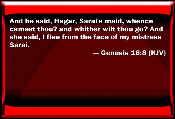 Genesis 16:8-Crazy Biblical Quotes