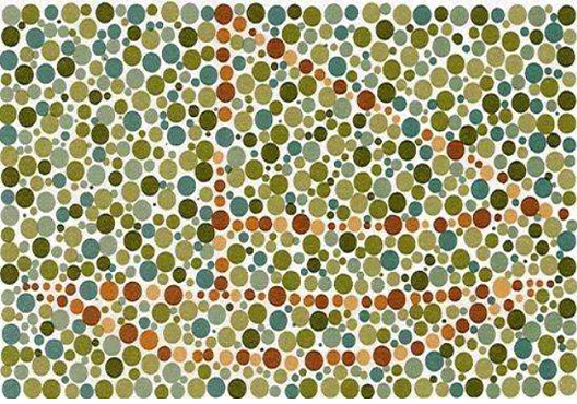 A Seal Or A Sail?-Best Colorblindness Tests You Must Try
