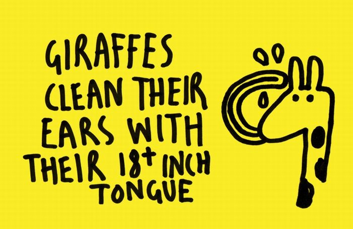 Thankfully they have the right tongue-24 Interesting Yet Mind Blowing Facts