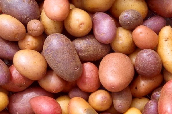 Potatoes-Foods That Cause Farting
