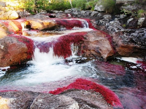 Cano Cristales-Most Mysterious Places In The World
