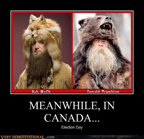 Wearing a bear for a hat-12 Best Meanwhile In Canada Memes Ever