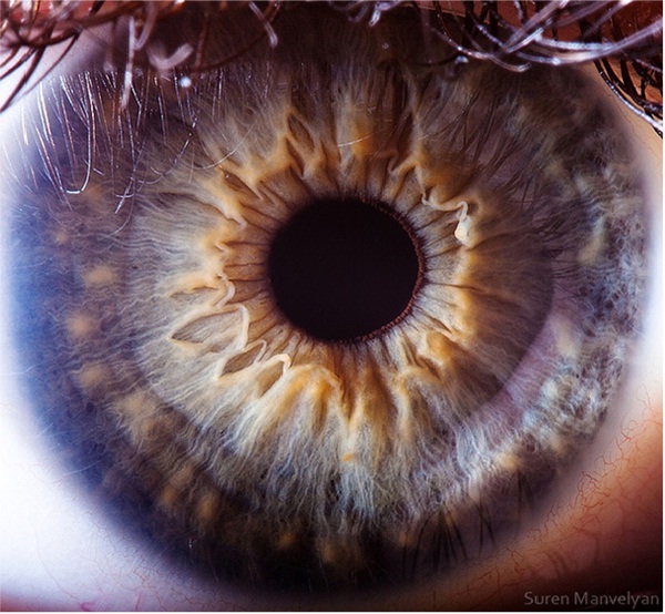 Magical Forest-Extreme Close Ups Of The Human Eye
