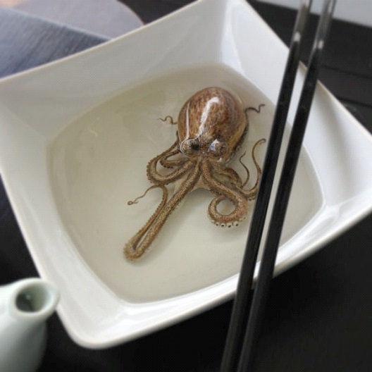 Squid-Bizarre 3D Paintings By Keng Lye