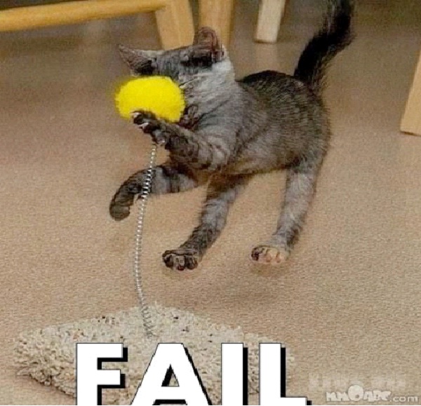 Misjudged-Funny Animal Fails