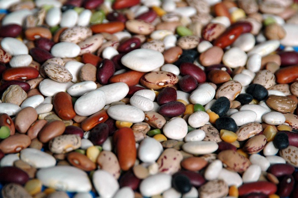 Beans-Foods That Give You Energy