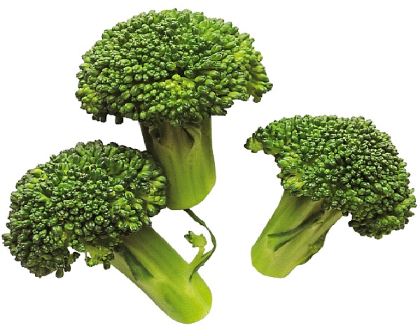 Broccoli-Best Antioxidant Foods