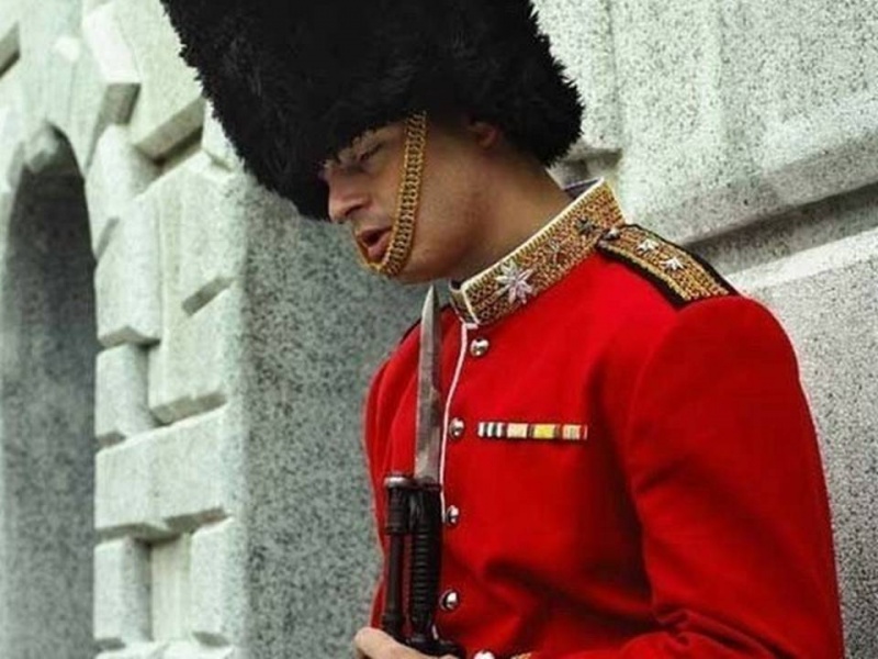 Queen's Guard Caught Sleeping-15 People Who Were Caught Taking A Quick Nap At Work