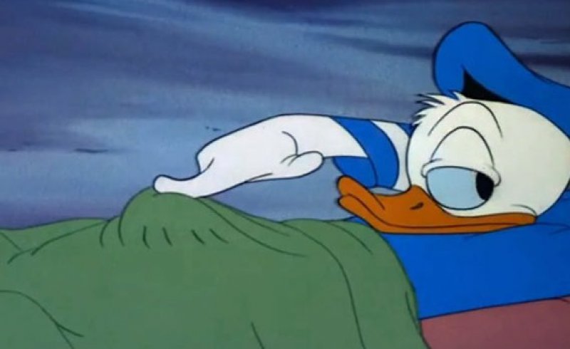 Donald Duck, What Are You Doing?-15 Hidden Inappropriate Jokes In Children Cartoons