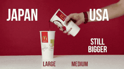 Portion Sizes-15 Weird Things That Rest Of The World Finds Odd About USA