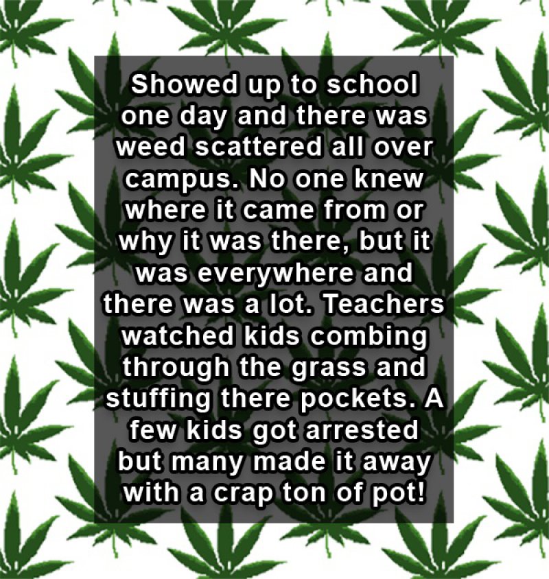 When Pot Rained from Nowhere-15 People Reveal The Craziest Scandals That Happened In Their High School