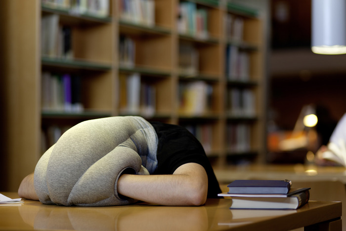 Ostrich Pillow-7 Bizarre Kickstarter Campaigns You Could Fund