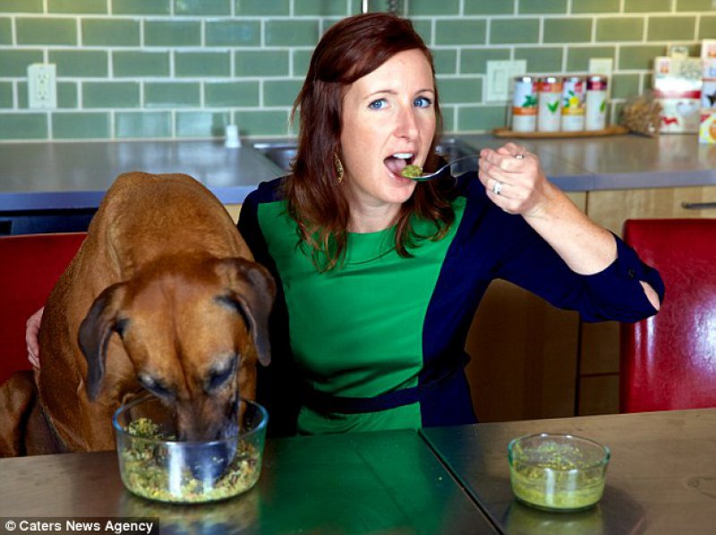 Pet Food Taster - Up to ,000 a Year-15 Weird But Good Paying Jobs That Don't Require You To Be Naked In Front Of Someone