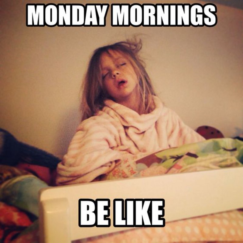 A Typical Monday Morning-12 Funny Monday Memes That Will Brighten Your Monday