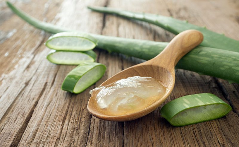 Aloe Vera-12 Easy Ways To Tighten Skin