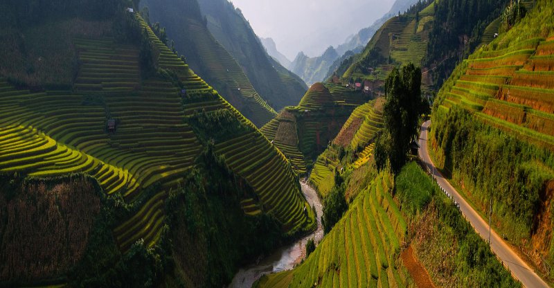 Asian Terrace Rice Fields-13 Awesome Pictures That Will Make Your Day